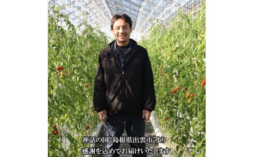 出雲の國からの贈り物～超トマト２kg＆ジュース１本 322032_AT006