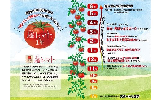 出雲の國からの贈り物～超トマト２kg＆ジュース１本 322032_AT006