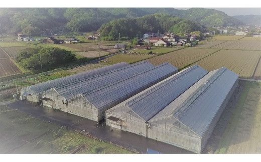 超トマトを贅沢に絞った「超トマトジュース」　1本 322032_AT011