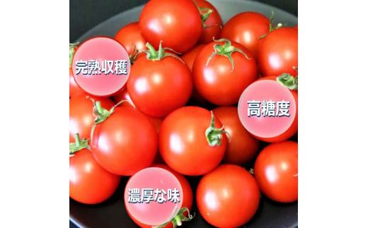 高糖度フルーツトマト糖度8以上 322032_AU004