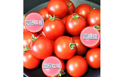 【定期便3回】出雲からの希トマト糖度8～10をお届け！ 322032_AU008