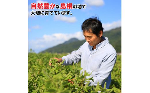 島根県産えごま油 322032_AZ006