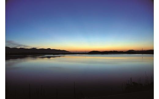 ぷっくり大きな身！食べて美味しい！神西湖産大和しじみ 322032_BA001