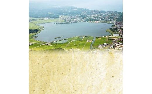 ぷっくり大きな身！食べて美味しい！神西湖産大和しじみ 322032_BA001