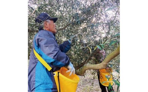 幸せの雫出雲産オリーブオイルAセット 322032_BA002