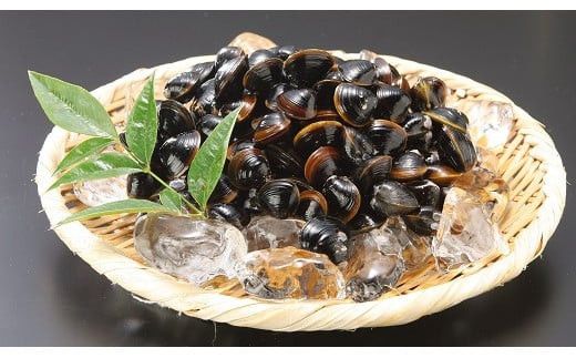 しじみの食べ比べ！宍道湖産＆神西湖産 322032_BA005