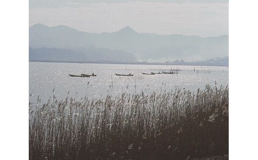 しじみの食べ比べ！宍道湖産＆神西湖産 322032_BA005