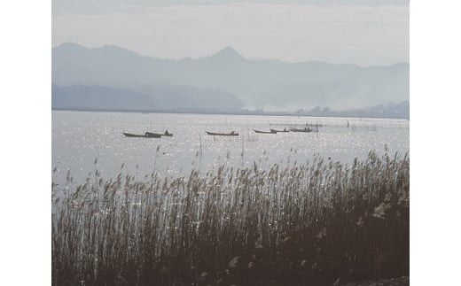 【３回定期便】しじみの食べ比べ！宍道湖産＆神西湖産 322032_BA006