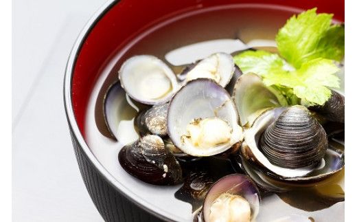 【３回定期便】ぷっくり大きな身！食べて美味しい！神西湖産大和しじみ 322032_BA007