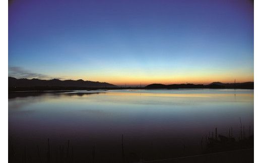 【３回定期便】ぷっくり大きな身！食べて美味しい！神西湖産大和しじみ 322032_BA007