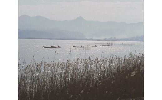 【３回定期便】ぷっくり大きな身！食べて美味しい！神西湖産大和しじみ 322032_BA007