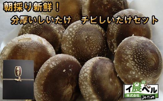 yo_sẑVNI@`rZbg 322032_BB001