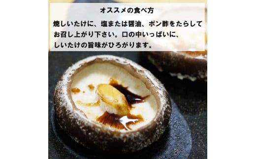 朝採り新鮮！分厚いしいたけ　チビしいたけセット 322032_BB001