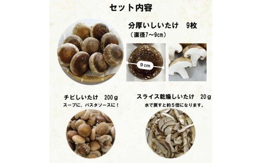 朝採り新鮮！分厚いしいたけ　チビしいたけセット 322032_BB001