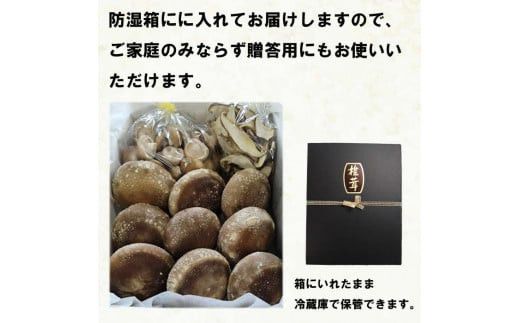 朝採り新鮮！分厚いしいたけ　チビしいたけセット 322032_BB001