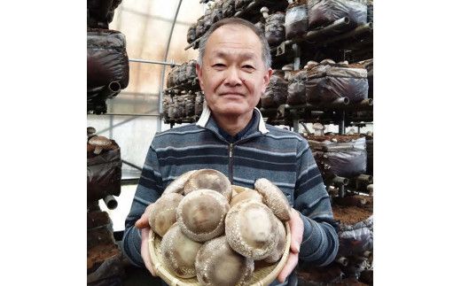 朝採り新鮮！分厚いしいたけ　チビしいたけセット 322032_BB001