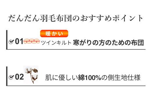 羽毛布団 シングル ハンガリー産 グースダウン93% 1.3kg ツインキルト 400dp 322032_BD016