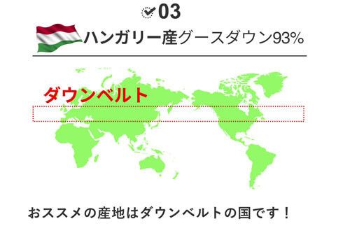 羽毛布団 シングル ハンガリー産 グースダウン93% 1.3kg ツインキルト 400dp 322032_BD016