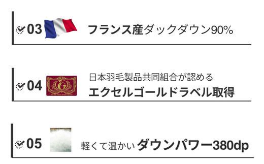 羽毛布団 シングル フランス産 ダックダウン90% 1.3kg ボディーアームスキルト 380dp 322032_BD019