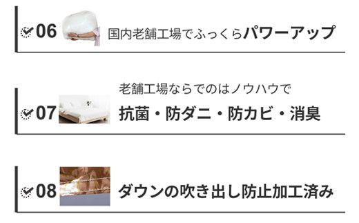 羽毛布団 シングル フランス産 ダックダウン90% 1.3kg ボディーアームスキルト 380dp 322032_BD019