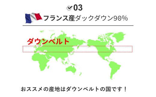 羽毛布団 シングル フランス産 ダックダウン90% 1.3kg ボディーアームスキルト 380dp 322032_BD019