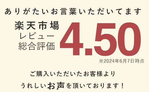 【高さ調節可能】マイスターピロー匠 枕 まくら 低反発 ストレートネック 横向き寝 低い 柔らかい 322032_BD035