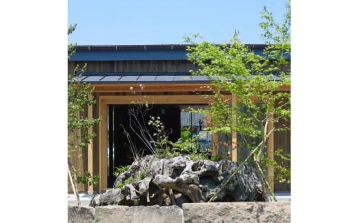 黒柿　楕円托　１枚　（銘々皿） 322032_BG036