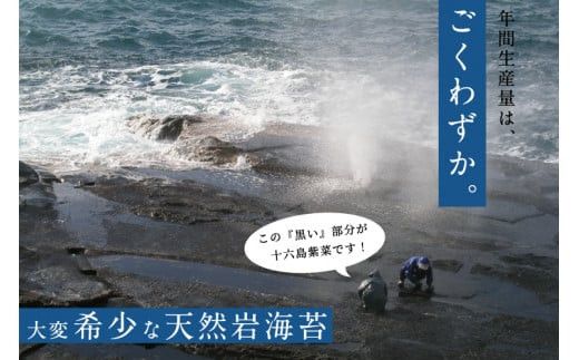 【希少】天然岩のり　十六島海苔（うっぷるいのり） 322032_BJ003