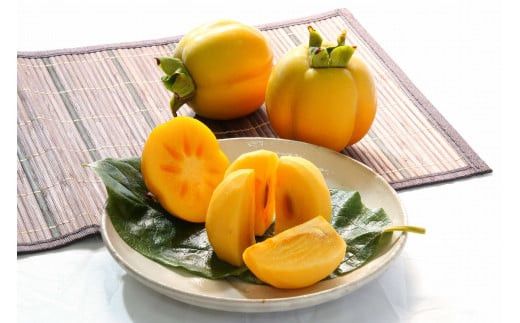 yo_szy`Ƃ̔_Ƃzo_Y`@5kg 322032_BK001