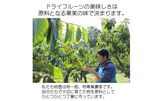 【柿専業の農家が作る】出雲産甘柿の干し柿 322032_BK003