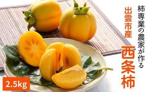 【柿専業の農家が作る】出雲産西条柿　2.5kg 322032_BK004