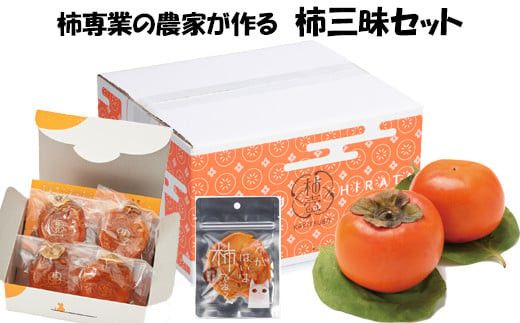 yo_szy`Ƃ̔_Ƃz`OZbg 322032_BK005