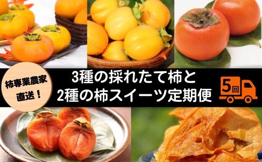 【定期便】【柿専業の農家が作る】3種の採れたて柿とスイーツセット 322032_BK006