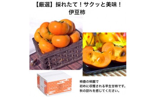 【定期便】【柿専業の農家が作る】3種の採れたて柿とスイーツセット 322032_BK006