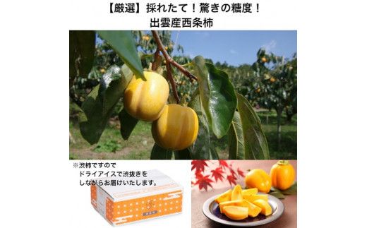 【定期便】【柿専業の農家が作る】3種の採れたて柿とスイーツセット 322032_BK006