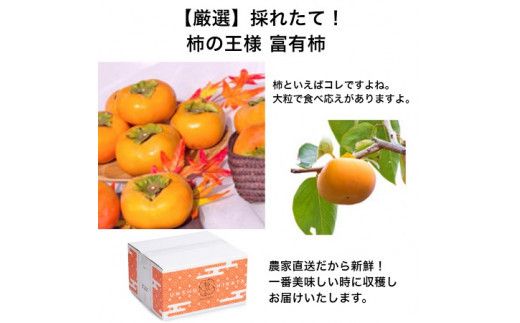 【定期便】【柿専業の農家が作る】3種の採れたて柿とスイーツセット 322032_BK006