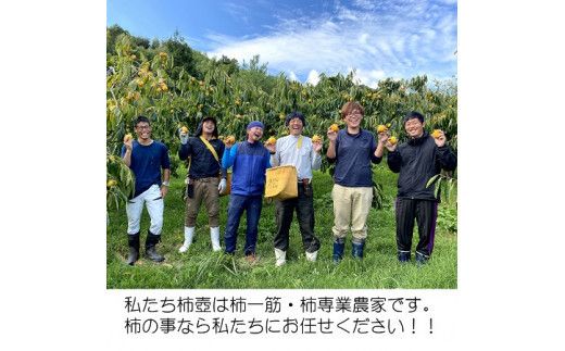 【定期便】【柿専業の農家が作る】3種の採れたて柿とスイーツセット 322032_BK006