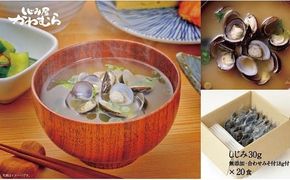 宍道湖産大和しじみ 合わせ味噌汁(簡易タイプ)20食入 322032_BN006