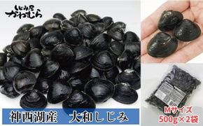 【神西湖産】プリプリ！冷凍砂抜きしじみ　Mサイズ/500g×2袋 322032_BN013