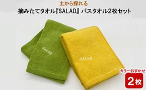 土から採れる 摘みたてタオル 『SALAD』 バスタオル 2枚セット 322032_BR014