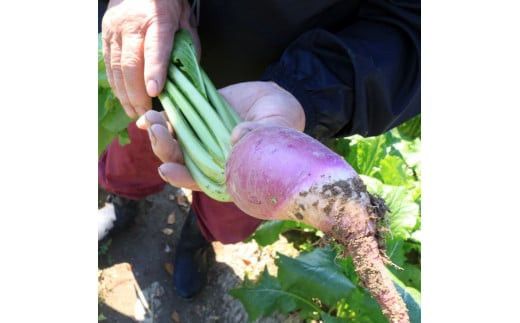 【１１月～１月中旬限定！】出雲漬物おすすめ６品セット 322032_BS003