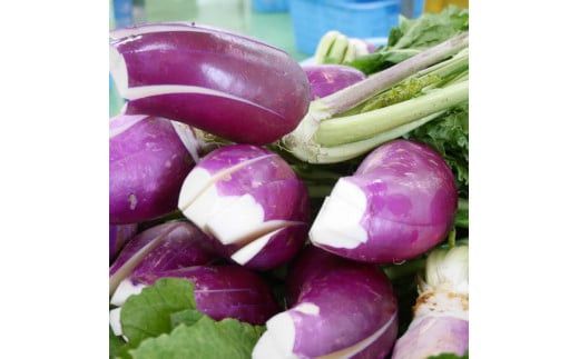 【１１月～１月中旬限定！】出雲漬物おすすめ６品セット 322032_BS003