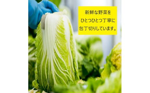 【１１月～１月中旬限定！】出雲漬物おすすめ６品セット 322032_BS003