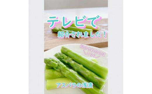 【2026年4月～9月お届け】季節限定　春夏おすすめ漬物７品セット 322032_BS004