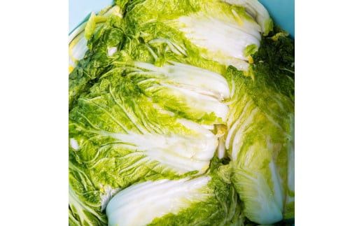 【2026年4月～9月お届け】季節限定　春夏おすすめ漬物７品セット 322032_BS004