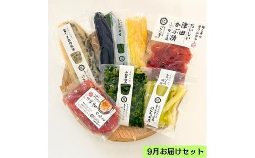 【3か月定期便】出雲漬物 季節の詰合せセット（7～9月） 322032_BS006