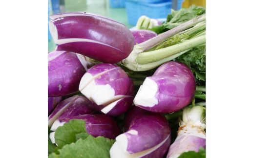 【3か月定期便】出雲漬物 季節の詰合せセット（10～12月） 322032_BS007