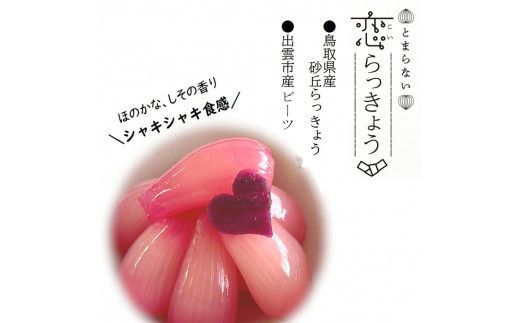 【3か月定期便】出雲漬物 季節の詰合せセット（10～12月） 322032_BS007