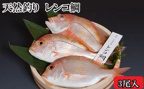 天然釣りレンコ鯛（下処理済） 322032_BT001