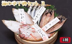 海の幸干物セットＢ 322032_BT005